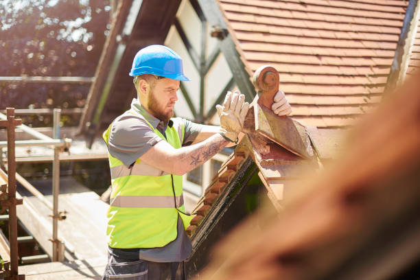 Best Metal Roofing Contractor  in Los Ranchos, CA